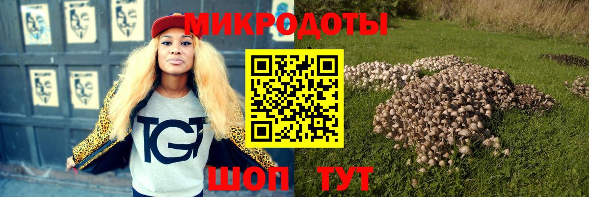 Галлюциногенные грибы мицелий Осинники