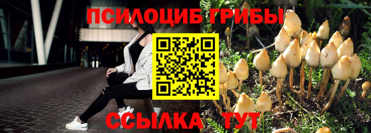 Осинники  Галлюциногенные грибы MAGIC MUSHROOMS  Вход с VPN 
